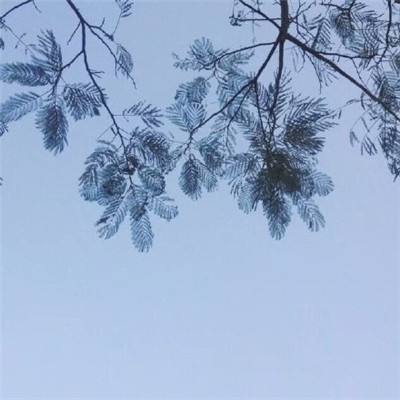奥罗博罗斯免费版下载